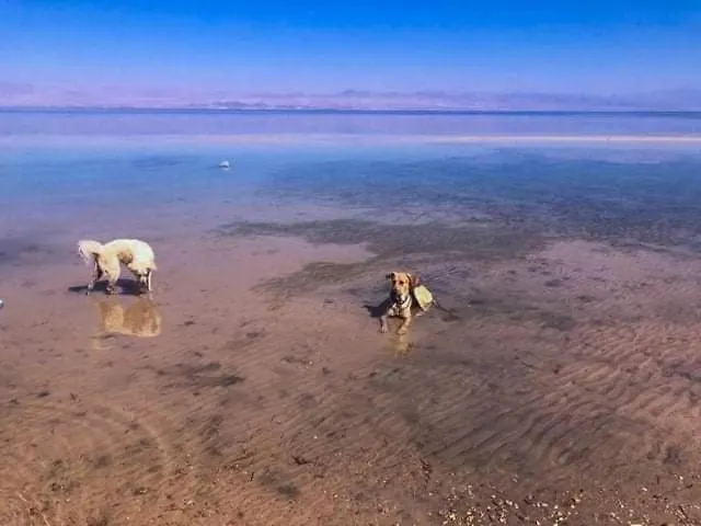 Diana Beach Camp * Nuweiba`